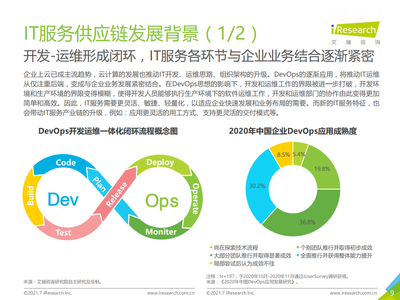 2021年中国IT服务供应链数字化升级研究报告